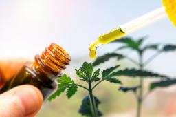 CBD Oil Market Fueled by Legal Reforms Product Diversification and Industry-Wide Innovation Trends