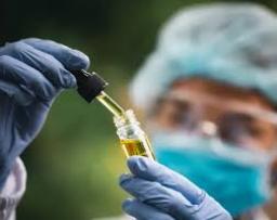 Cannabis Extract Market sees surge in pet wellness product demand