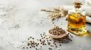 Kenaf Seed Oil Market Thrives as Brands Launch Eco-Conscious Product Lines Worldwide