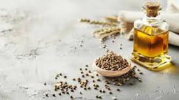 Kenaf Seed Oil Market Thrives as Brands Launch Eco-Conscious Product Lines Worldwide