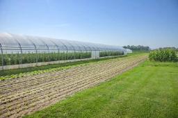Agricultural Textiles Market Outlook: Forecasting Demand in Horticulture, Greenhouses, and Crop Production