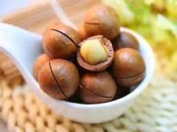 Macadamia Market investment potential backed by long-term consumption growth trends