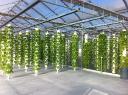 Aeroponics Market Shifts Driven by Urban Farming Growth, Sustainability Focus, and Technological Integration