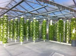 Aeroponics Market Shifts Driven by Urban Farming Growth, Sustainability Focus, and Technological Integration