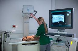 Veterinary MRI Systems Market Sees Increased Usage in Advanced Neurological Diagnostic Procedures