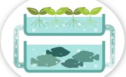 Aquaponics Market Growth Fueled by Sustainability Demands, Urban Farming Trends, and Smart Agriculture Technologies