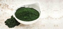 Spirulina Extracts Market Dynamics Highlight Technological Innovations and Regional Expansion Strategies