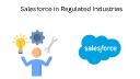 Salesforce in Regulated Industries: Why Compliance Meets Capability Here