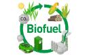 Biofuels Market Shifts Reflect Changing Energy Policies, Technological Advances, and Global Sustainability Priorities