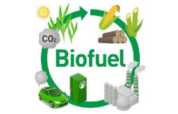 Biofuels Market Shifts Reflect Changing Energy Policies, Technological Advances, and Global Sustainability Priorities