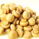 Canned Mushroom Market Shifts Reflect Changing Lifestyles, Innovation Trends, and Global Consumer Expectations