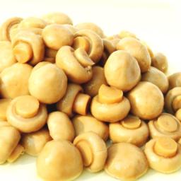 Canned Mushroom Market Shifts Reflect Changing Lifestyles, Innovation Trends, and Global Consumer Expectations