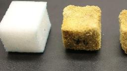 Bio-based Foam Market Positioned for Expansion Amid Rising Environmental Awareness and Government Support