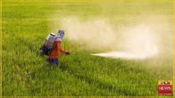 Biopesticides Market Landscape Reflects Global Shift Toward Eco-Friendly and Sustainable Crop Protection Solutions