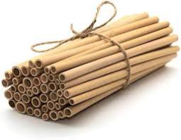 Eco-Friendly Straws Market demand surge driven by tourism and hospitality industry growth