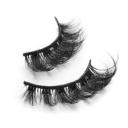 False Eyelashes Market future depends on regulatory changes and cruelty-free certifications worldwide