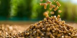 Feed Enzymes Market trends point to growth in non-starch polysaccharide degrading enzymes