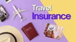 Travel Insurance Market Environmental and Political Risk Coverage Becoming More Relevant in 2025