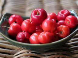 Acerola Extract Market Landscape Shaped by Natural Vitamin C Demand and Clean Label Products