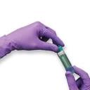 Cleanroom Disposable Gloves Market response to COVID-19 and future pandemic preparedness strategies