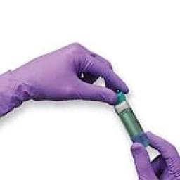 Cleanroom Disposable Gloves Market response to COVID-19 and future pandemic preparedness strategies