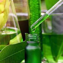 Botanical Extracts Market growth fueled by plant-based diet trends and holistic wellness movement