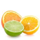 Citrus Fiber Market Global Outlook with Regulatory Policies Impacting Growth Dynamics