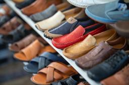 Vegan Footwear Market Insights Revealing Trends, Consumer Behavior, Sustainability, Innovation, And Growth Opportunities Globally