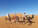 Exploring the Wonders: Sahara Desert Tours from Ouarzazate