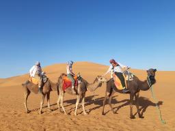 Exploring the Wonders: Sahara Desert Tours from Ouarzazate