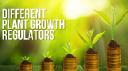 Plant Growth Regulators Market Challenges And Prospects In Different Geographical Segments