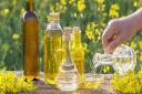 Rapeseed Oil Market Shifts Highlighting Consumer Trends, Production Changes, and Global Dynamics