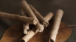 Herbal Smoking Products Market Analysis Shows Consumer Preference for Traditional and Ayurvedic Herbal Blends