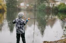 Fishing Rods Market Assessing Impact Of Digital Sales Channels On Product Distribution