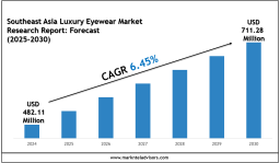 Southeast Asia Luxury Eyewear Market Outlook 2030: Leading Companies & Growth Insights