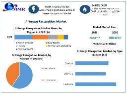 AI Image Recognition Market Recent Developments, Key Insights, Revenue Forecast 2024-2030