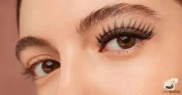 False Eyelashes Market Insights Exploring Regional Growth Potential And Market Share Opportunities Globally