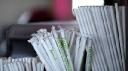 Eco-Friendly Straws Market Projections Highlighting Long-Term Environmental Benefits of Sustainable Product Adoption