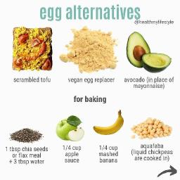 Fat Replacers Market Growth Driven by Health Trends, Innovation, Consumer Awareness, and Global Opportunities