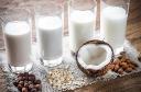 Dairy Alternatives Market in Global Food Industry Witnessing Robust Growth Driven by Health and Sustainability