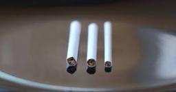 Super Slim Cigarettes Market pricing strategies and affordability factors influencing customer loyalty