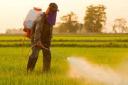 Crop Protection Chemicals Market Barriers Addressing Challenges And Unlocking Sustainable Agricultural Growth Globally