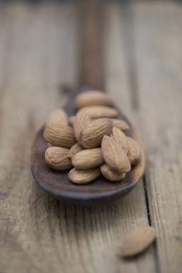 Filling Fats Market Trends Shaping Growth Through Innovation, Health Awareness, and Expanding Global Applications