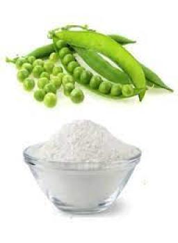 Pea Fiber Market Competitive Analysis, Global Demand Trends, and Emerging Consumer Applications