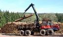 Growing Forestry Equipment Market: Key Trends, Drivers, and Opportunities