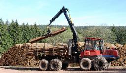 Growing Forestry Equipment Market: Key Trends, Drivers, and Opportunities