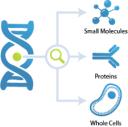 Aptamer Market overview highlighting research trends, industry innovations, and global adoption patterns