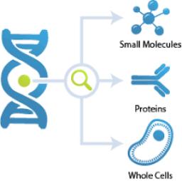 Aptamer Market overview highlighting research trends, industry innovations, and global adoption patterns