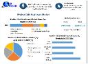 Mother-Child Healthcare Market Growth Driven by Rising Demand for Quality Care