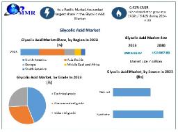 Glycolic Acid Market Size, Growth 2024-2030, Rising Use in Pharmaceuticals and Skin Care